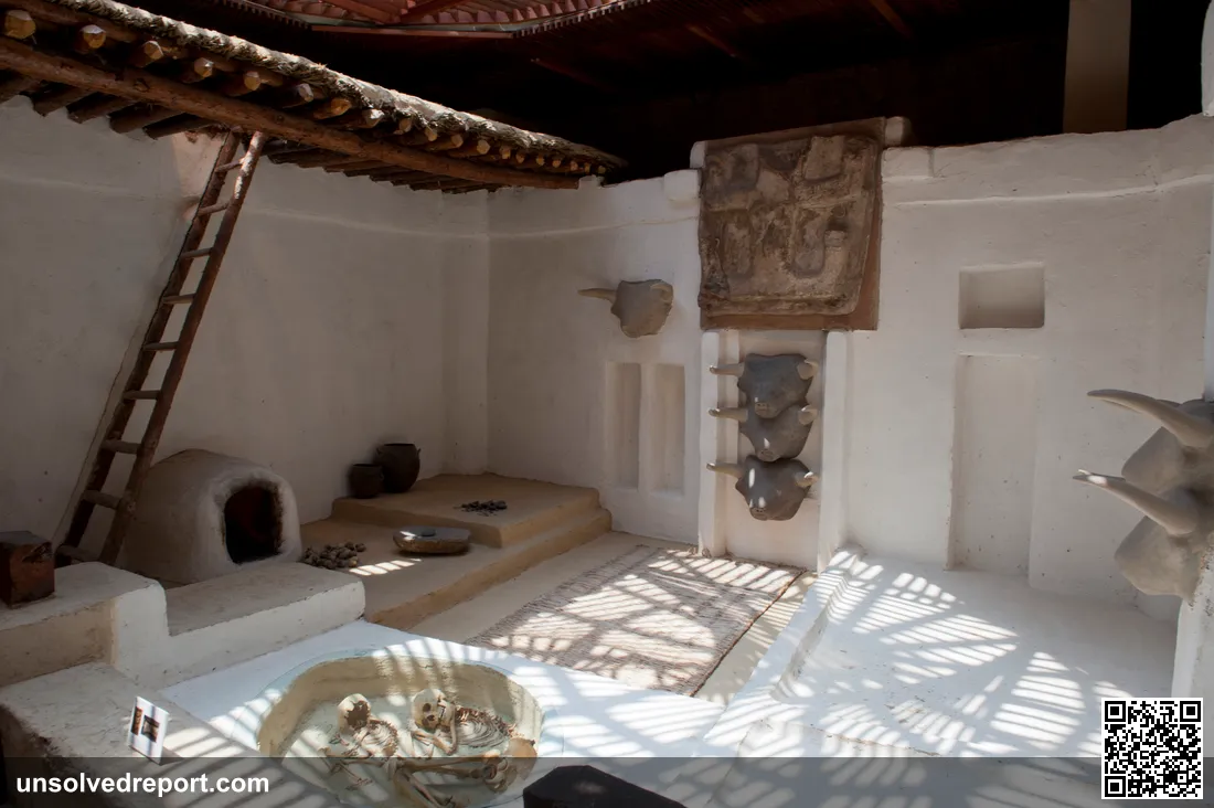 Reconstructed Catalhoyuk room: the roof-entry ladder, oven-hearth, bull horns on the wall, and a burial beneath the floor