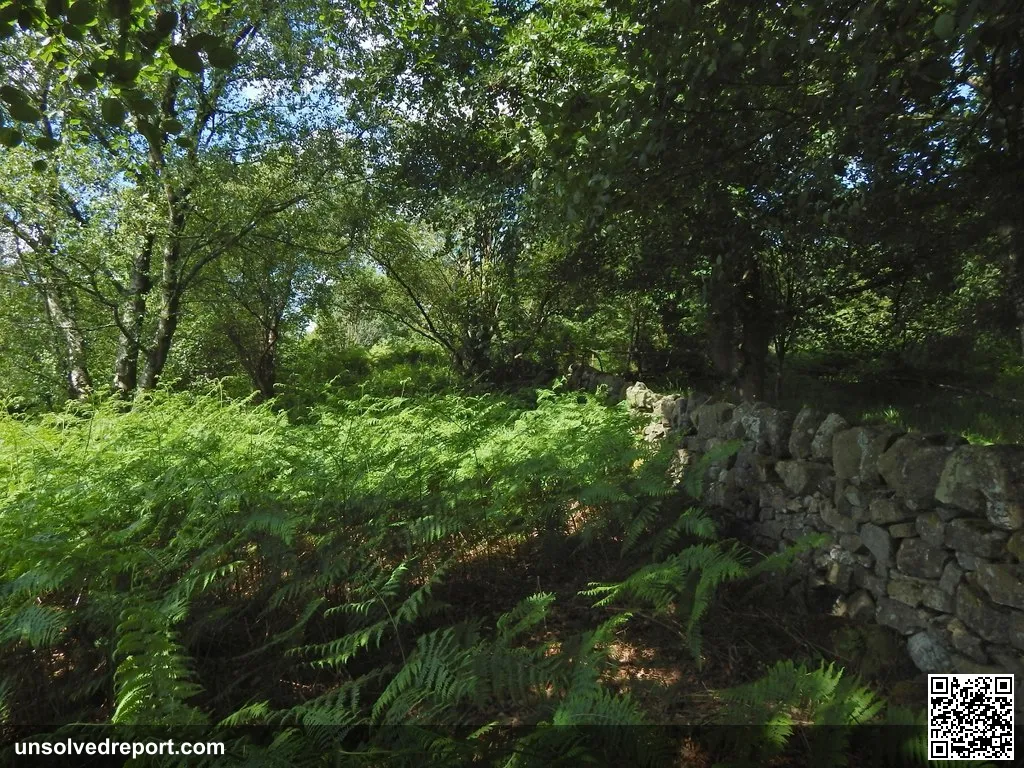 Site of the Cochno Stone