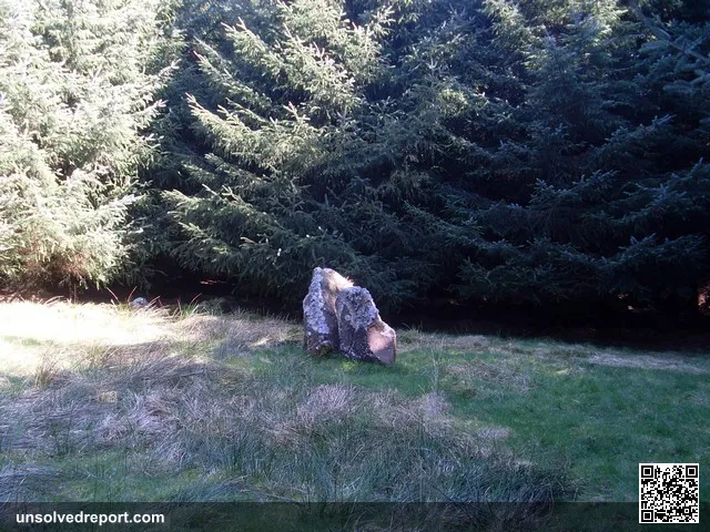 Standing stones in forest by Cochno Loch I'm unsure if these are here naturally or not - the OS 1:25000 map indiacates …