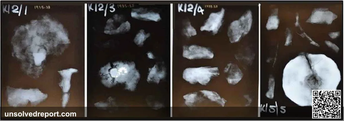 Original caption read: "X-ray photography of Eddisbury gate mechanism samples (not to scale)."