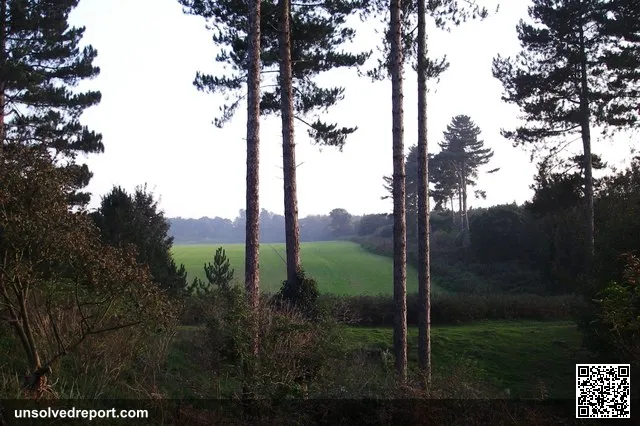 Supposed UFO landing site - Rendlesham Forest In the last days of 1980 UFOs reputedly landed in the eastern edge of Ren…