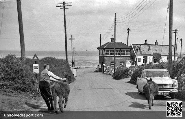 Down to the sea at Blue Anchor. View NNE past level-crossing at Blue Anchor station: donkeys being taken down to the be…